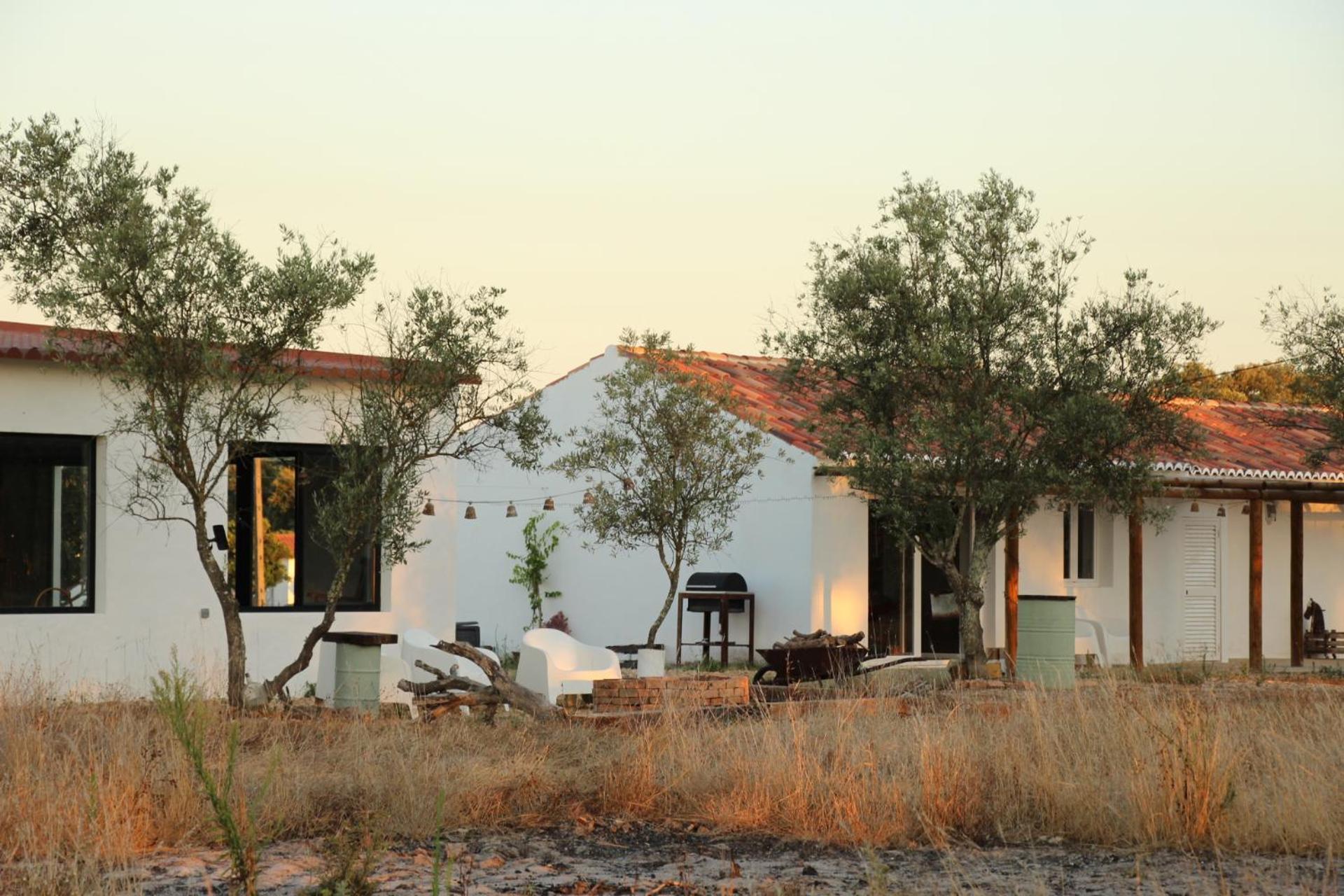 Oak Monte Alentejano - 2 Casas T2 Alugadas Sempre Em Simultaneo Toda A Propriedade E Exclusiva A Uma So Reserva Santiago do Cacem Bagian luar foto